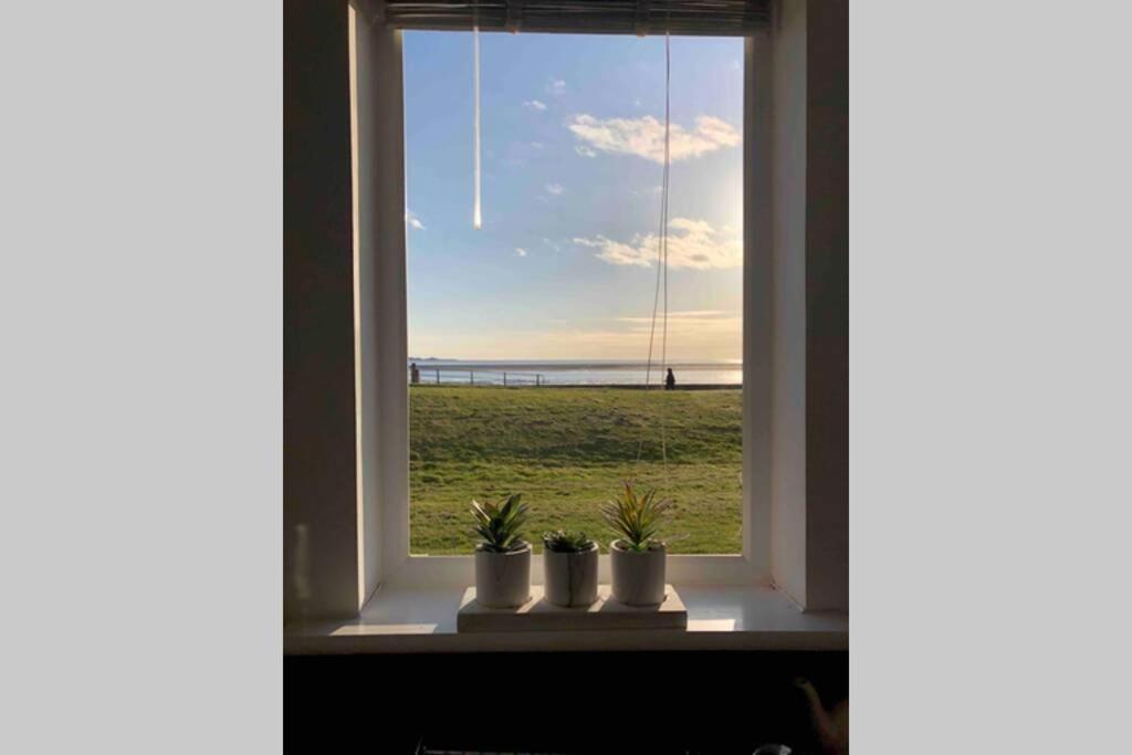 Cockledora, A Luxury Ground Floor Beachfront Apartment Llanelli Eksteriør bilde